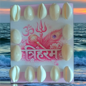Sacred Kaudi Shells